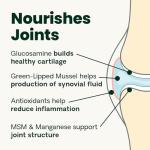 VetriScience Ultimate Strength Healthy Hip & Joint Chews, GlycoFlex Glucosamine, Chondroitin and Green-Lipped Mussel Joint Support Supplement for Dogs, Soothe Joint Discomfort, Bacon, 120 Count