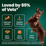 VetriScience Ultimate Strength Healthy Hip & Joint Chews, GlycoFlex Glucosamine, Chondroitin and Green-Lipped Mussel Joint Support Supplement for Dogs, Soothe Joint Discomfort, Bacon, 120 Count