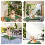 LOOBANI Dog Grass Pad with Tray - Dog Litter Box - Indoor Potty for Apartment and Patio Training - with 2 Packs Grass Pee Pads for Replacement, 16×20 Inch