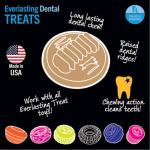 Starmark Everlasting Treats Dental Chews Large, 2 Count (Pack of 1), Chicken Flavored