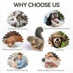 ALL FOR PAWS Classic Squirrel Pet Toys, Small