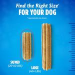 DentaLife Plus Digestive Support Dog Treats for Small and Medium Dogs 20-40 lbs., Cleans Teeth, Freshens Breath, & Supports Healthy Gut, Chicken & Pumpkin Flavor, 6 oz., 8 Chews - 6 oz. Pouch