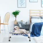 Elevated Dog Bed - Soft Comfortable Fabric, Easy to Clean, Stainless Steel Frame, Raised Design for Air Circulation, Durable Pet Cot for Small Dogs, Breathable & Stable Puppy Bed