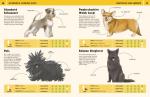 100 Awesome Dog Breeds: An Illustrated Guide