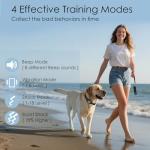 Aikko Remote Dog Training Shock Collar