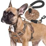 Heavy Duty Tactical Dog Harness with Leash