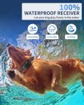 Remote Dog Training Collar - Waterproof & Adjustable
