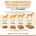 Omega 3 Fish Oil Chews for Dogs - 180 Count