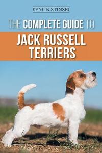 Jack Russell Terrier: Your Essential Puppy Guide