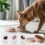 Barkin’ Trails Portable Dog Travel Bowl - Mocha