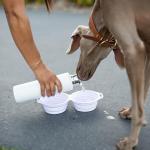 Collapsible Silicone Dog Bowls - Travel Friendly Pink