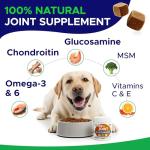 Goodgrowlies Dog Hip & Joint Supplement 120Ct