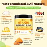 Glucosamine Joint Supplement for Dogs - 9.52 Oz