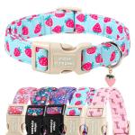 Blue Strawberry Dog Collar with Pendant for All Sizes