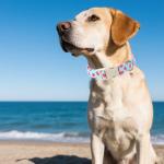 Blue Strawberry Dog Collar with Pendant for All Sizes