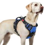 Rabbitgoo No-Pull Dog Harness for Large Breeds