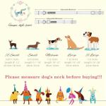 Blue Strawberry Dog Collar with Pendant for All Sizes