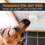 Mighty Paw Smart Bell for Dog Potty Training