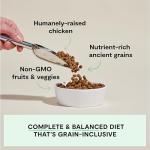 Open Farm Harvest Chicken Dry Dog Food 4lb