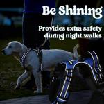 Rabbitgoo No-Pull Dog Harness for Large Breeds