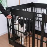 RYPetmia Heavy Duty Indoor Dog Playpen 31.5