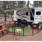 Heavy Duty Folding Dog Playpen with Door