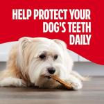Milk-Bone Chicken Flavor Dental Chews for Dogs