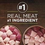 Purina ONE Grain-Free Wet Dog Food Variety Pack