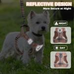 Pawchie No Pull Dog Harness and Leash Set