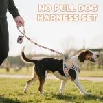 Pawchie No Pull Dog Harness and Leash Set