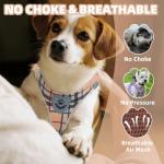Pawchie No Pull Dog Harness and Leash Set