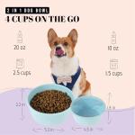 Travel Dog Bowls with Lids - 30 Oz Set
