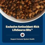 Blue Buffalo Grain-Free Senior Dog Food, Chicken & Potatoes