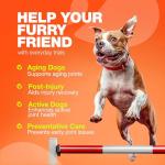 Dog Glucosamine Chews for Joint Health Support