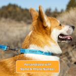 Customizable Reflective Dog Collars in 4 Colors
