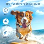 Dual Dog Training Collar with Remote, Waterproof