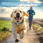 Dual Dog Training Collar with Remote, Waterproof