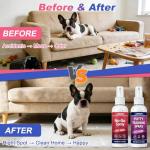JJBONG Potty Training Spray for Dogs - 2 Pack