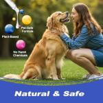 JJBONG Potty Training Spray for Dogs - 2 Pack