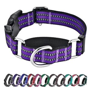 Hikiko Martingale Collar for Dogs Reflective Nylon Dog Collar with Quick Release Buckle Adjustable Training No Slip Dog Collars (Medium, Purple)
