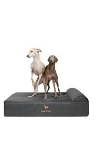 NOAH & PAW Large Orthopedic Memory Foam Dog Bed