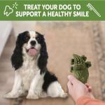 WHIMZEES Small Alligator Dental Treats for Dogs