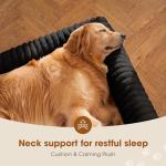 Czpalo Elevated Dog Bed with Removable Cushion