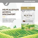 NaturVet Senior Hip & Joint Chews with Omegas
