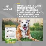 NaturVet Senior Hip & Joint Chews with Omegas