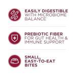 Purina ONE Small Bites Beef & Rice Dry Dog Food