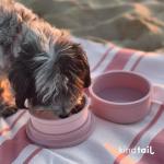 KindTail Portable Dog Travel Bowls Set of 2