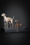 NOAH & PAW Large Orthopedic Memory Foam Dog Bed