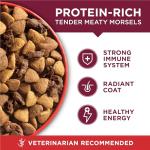 Purina ONE Small Bites Beef & Rice Dry Dog Food