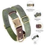 Didog Soft Leather Dog Collar for Small Dogs
